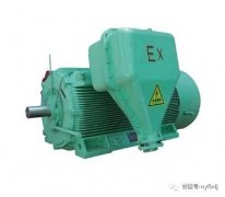 高壓防爆電機常見故障分析
