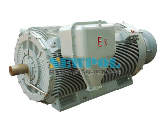 YBBP系列高壓隔爆型變頻調(diào)速三相異步電動機(jī)