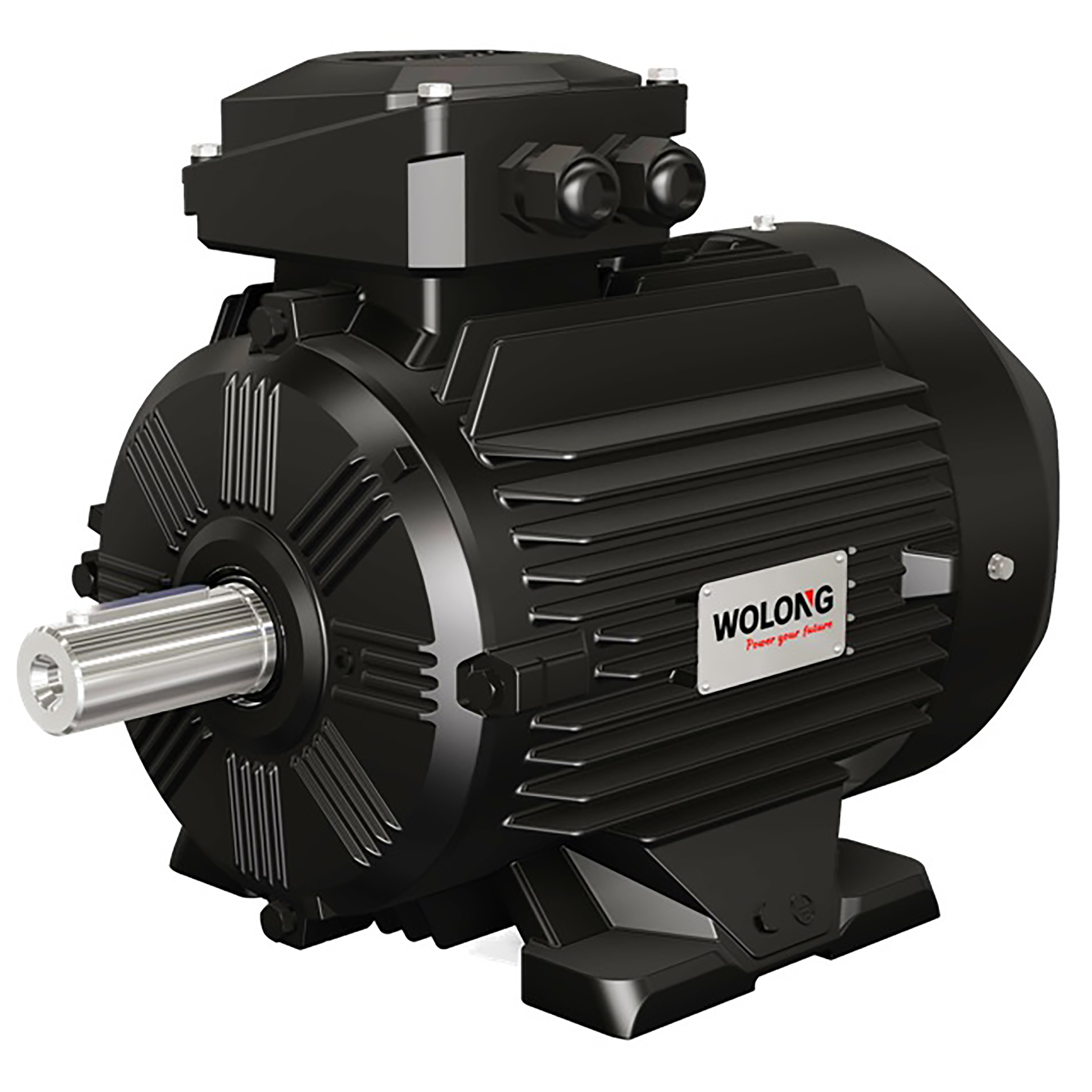 WEPM系列變頻調(diào)速永磁同步電動機(圖1)