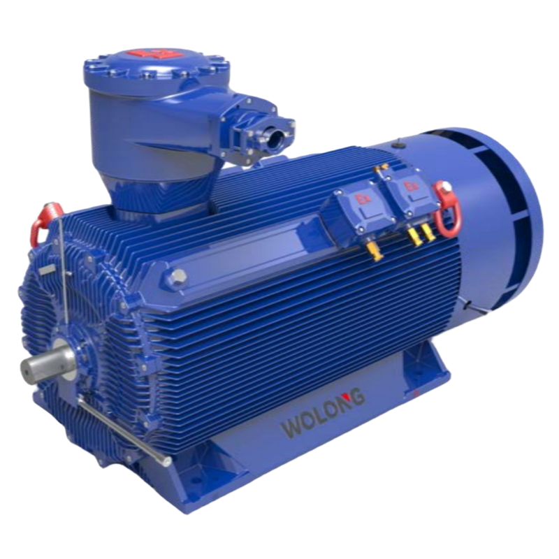 高壓防爆電機(jī)：穩(wěn)定動(dòng)力，適用于特殊環(huán)境