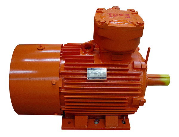 煤礦專用隔爆型三相異步電動機(jī).jpg