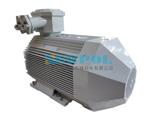 高效率低壓隔爆型三相異步電動機 — YBX4 系列的優(yōu)勢和應(yīng)用案例