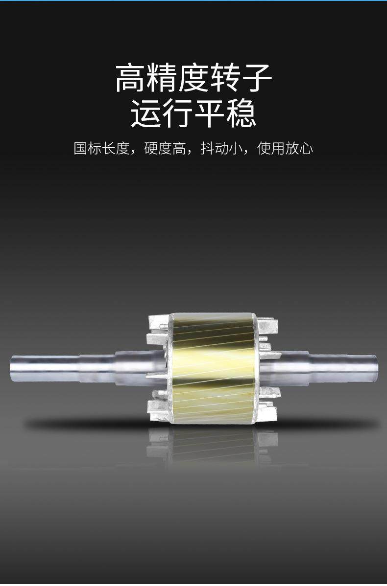 YFB4粉塵防爆三相異步電動機(圖8)