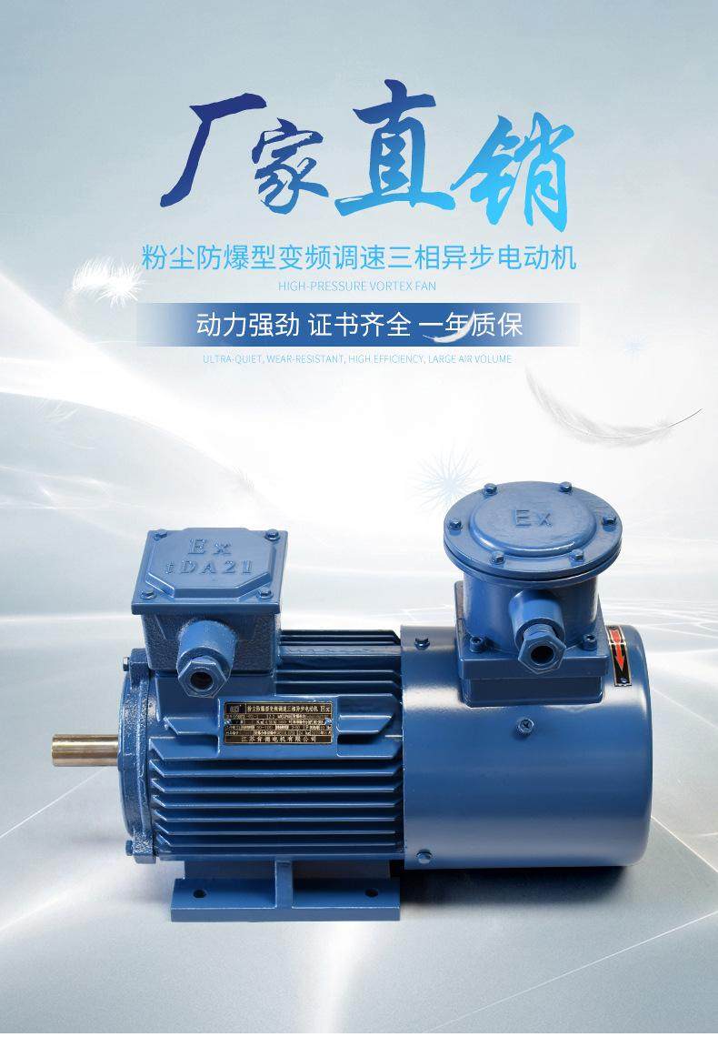 YFBBP3粉塵防爆變頻三相異步電動(dòng)機(jī)全銅線隔爆(圖1)