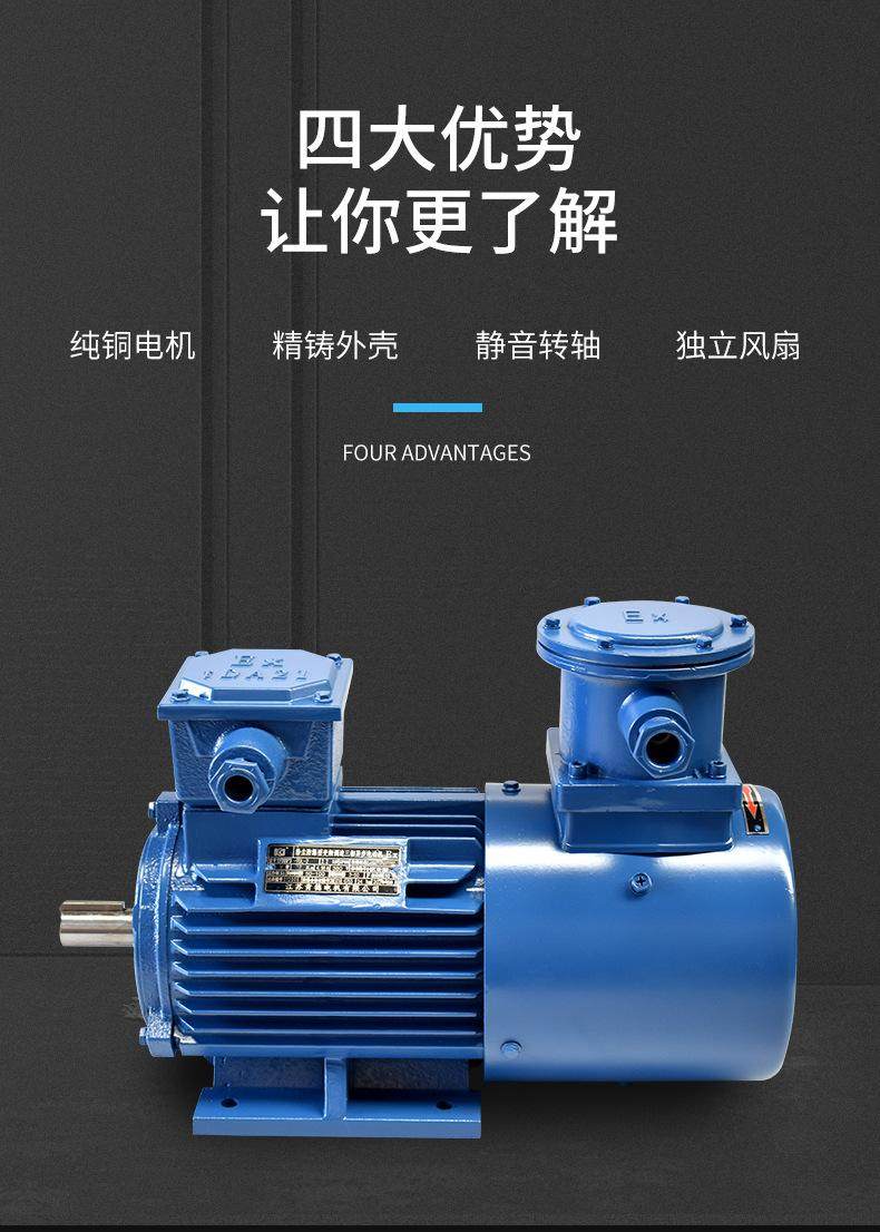 YFBBP3粉塵防爆變頻三相異步電動(dòng)機(jī)全銅線隔爆(圖5)
